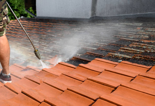 Best Affordable Power Washing  in Pantops, VA